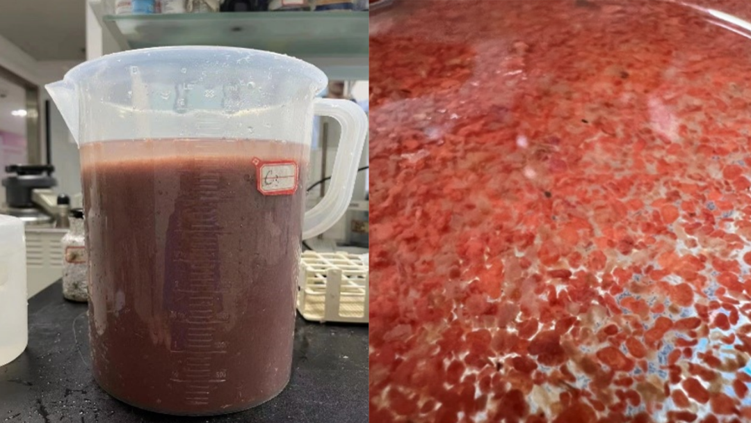 77����-ר������ָ��������ƽ̨