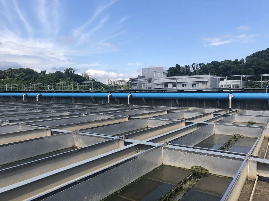 77����-ר������ָ��������ƽ̨