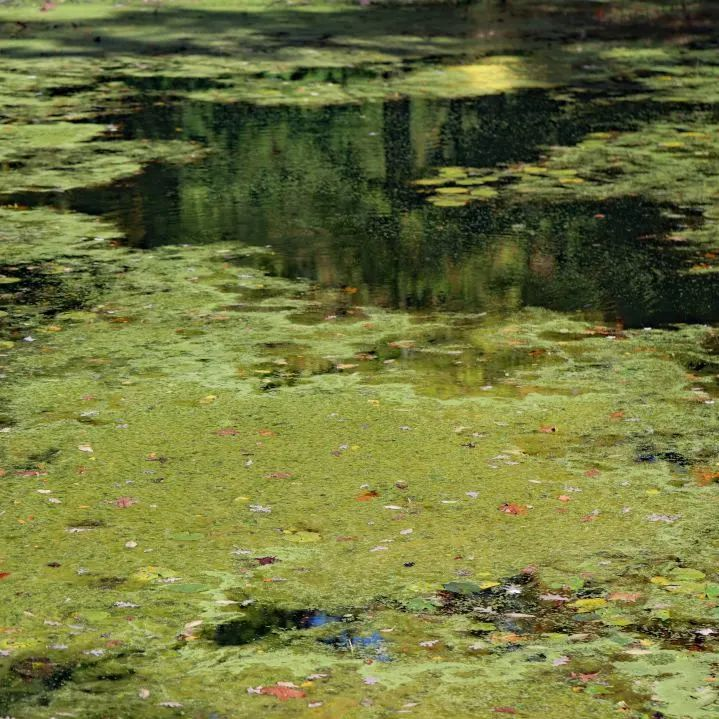 77����-ר������ָ��������ƽ̨