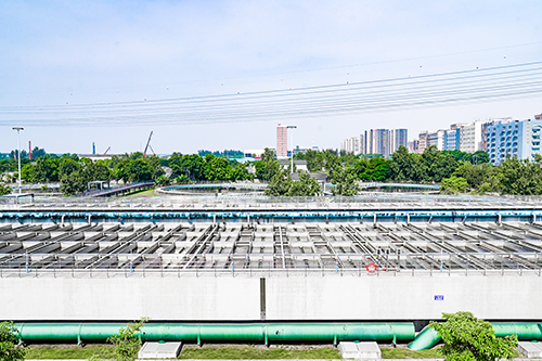 77����-ר������ָ��������ƽ̨