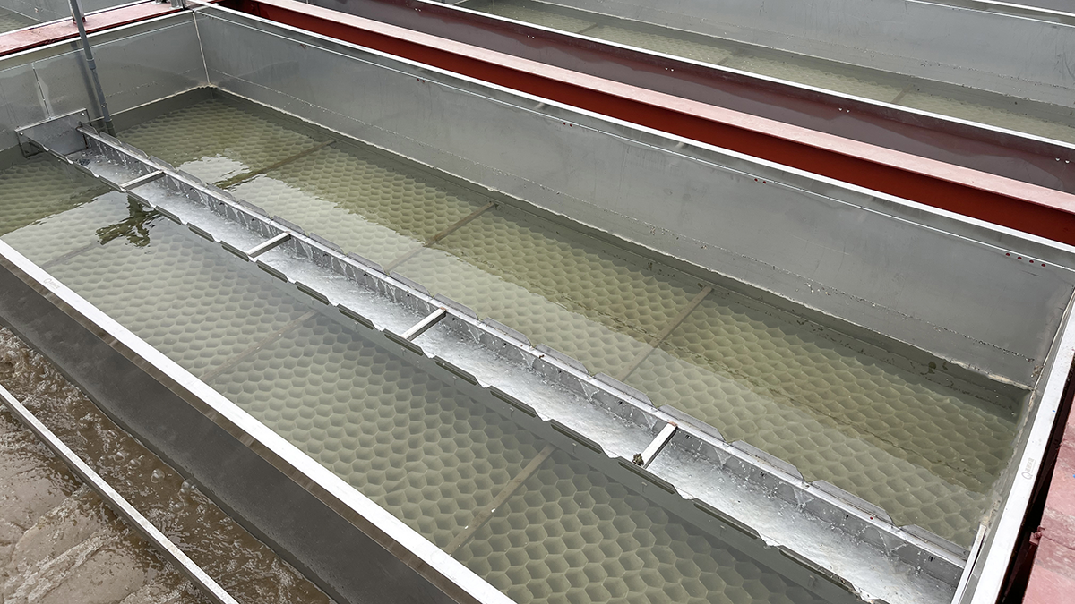 77����-ר������ָ��������ƽ̨