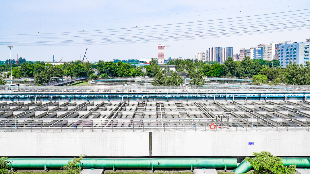 77����-ר������ָ��������ƽ̨