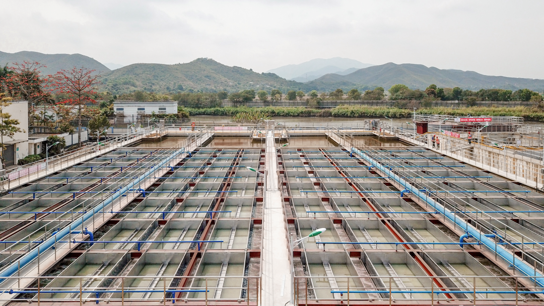 77����-ר������ָ��������ƽ̨