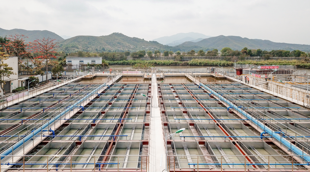 77����-ר������ָ��������ƽ̨